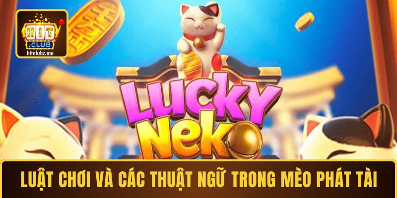 Làm quen với luật chơi và các thuật ngữ trong game Mèo Phát Tài