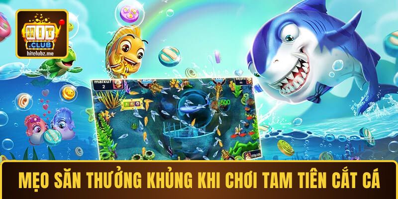 Mẹo săn thưởng khủng khi chơi Tam Tiên Cắt Cá